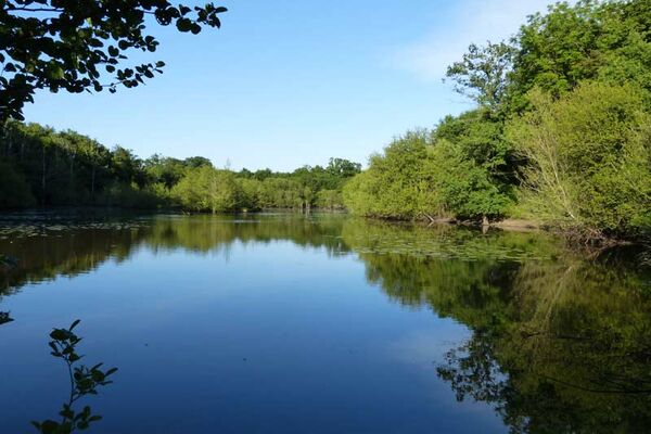 Eco-Camping des Buis