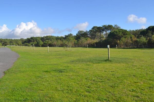 Camping les Chardons Bleus