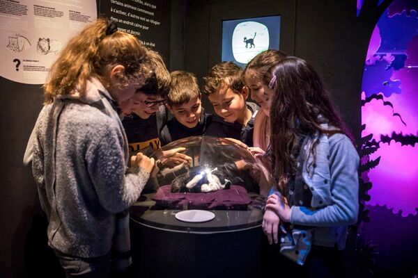 Espace des Sciences