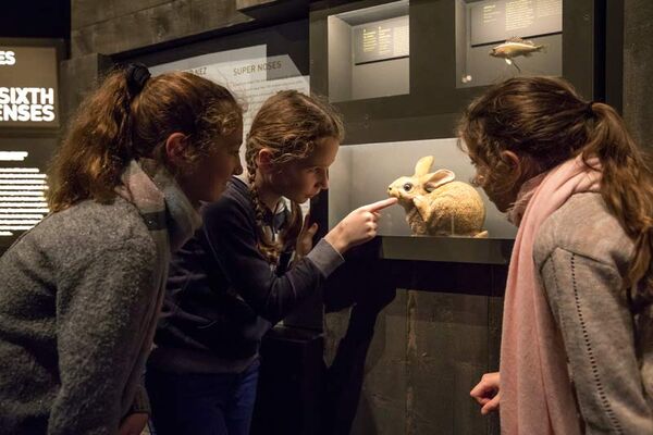 Espace des Sciences