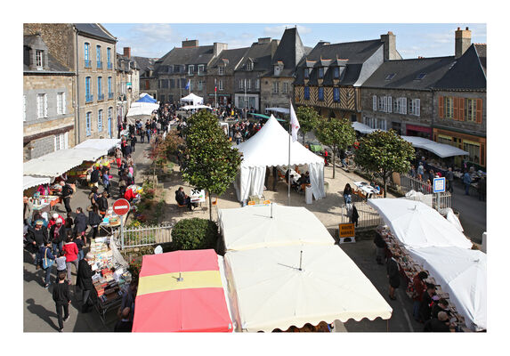 marché du livre