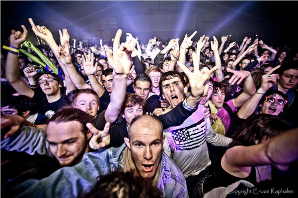 Festival Insolent