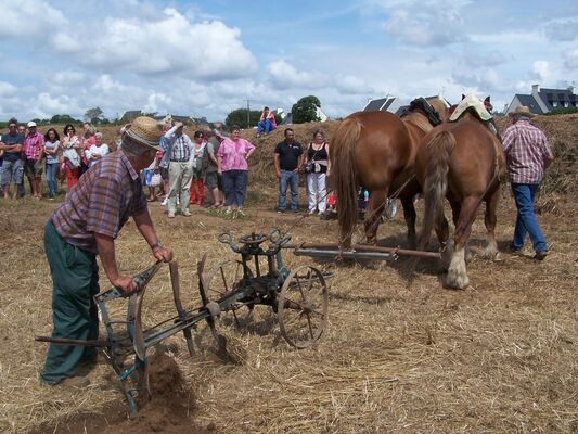 Fête de la Moisson
