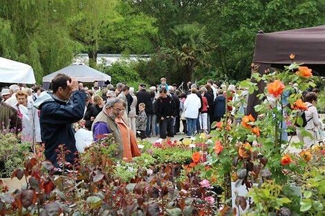 Fête des fleurs