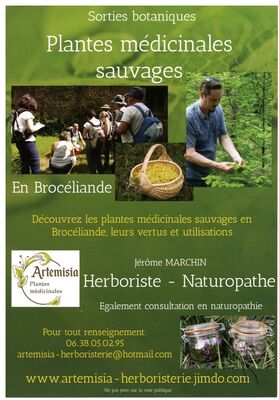 Flyer2-sortie-plantes-medicinale-2019