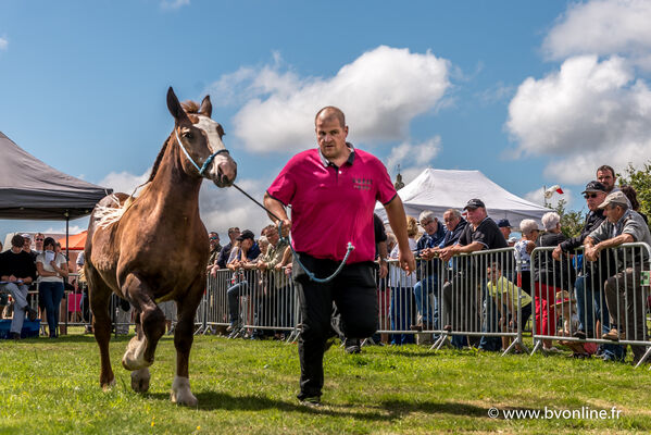 Foire méné bré 213211bvo- Jean-Luc Le Bouil