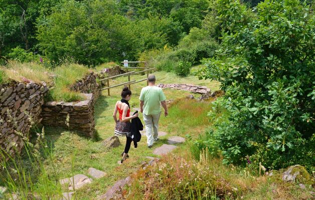Forêt Iffendic chambre au loup domaine de Careil et boutavent ©office de tourisme Lac de Trémelin (1)
