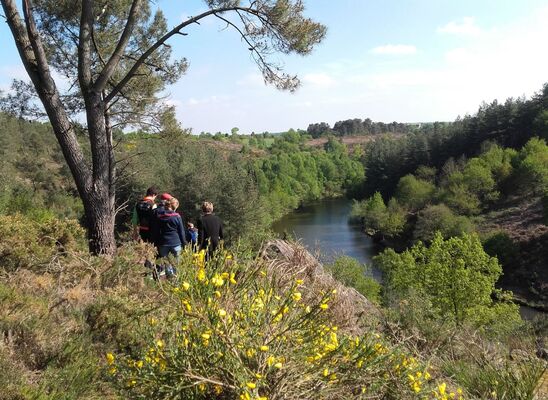 Forêt Iffendic chambre au loup domaine de Careil et boutavent ©office de tourisme Lac de Trémelin (2)