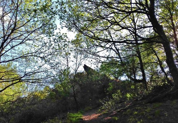 Forêt Iffendic chambre au loup domaine de Careil et boutavent ©office de tourisme Lac de Trémelin (3)