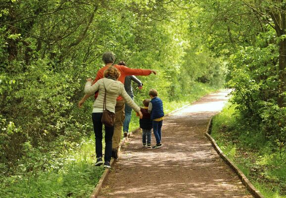Forêt Iffendic chambre au loup domaine de Careil et boutavent ©office de tourisme Lac de Trémelin (7)