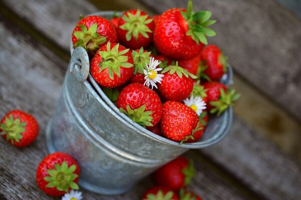 Fraise-2