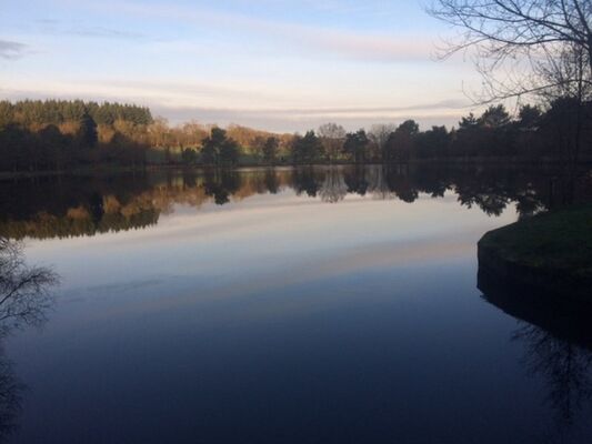 La Hulotte - Etang-de-la-Marette
