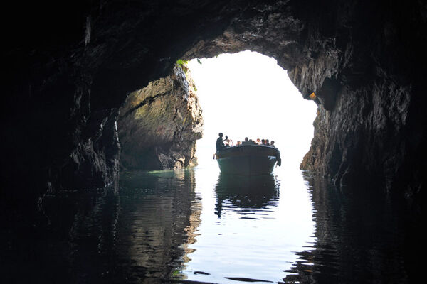 Vedettes Sirènes