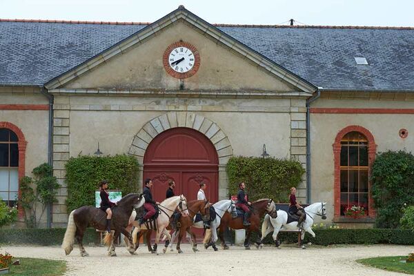 Haras National d'Hennebont