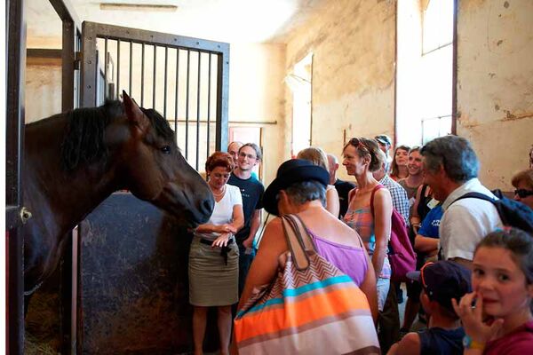 Haras National d'Hennebont