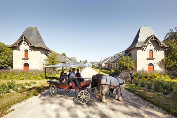 Haras National de Lamballe