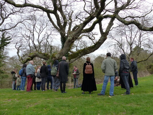Histoires-d-arbres