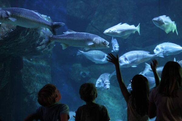 L’Aquashow