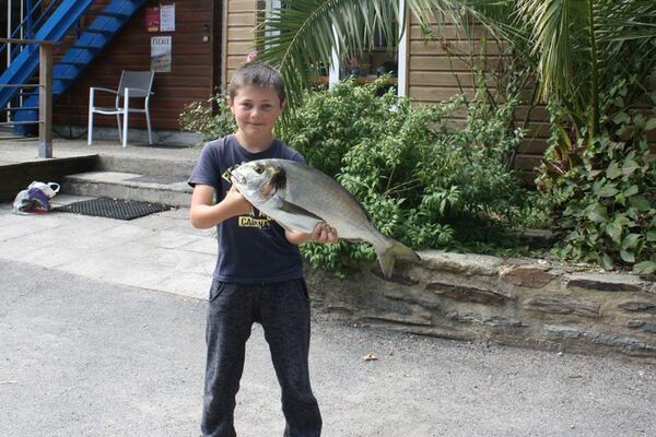 Camping du Roz
