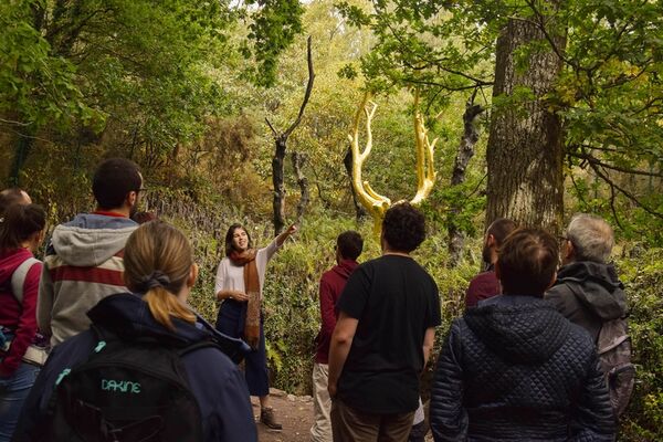 Il-etait-une-fois-Broceliande-2