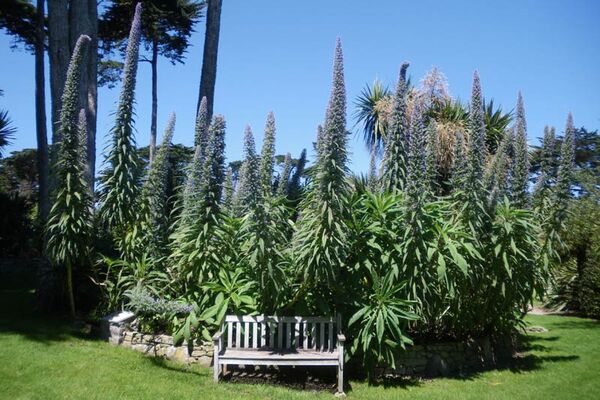 Jardin Georges Delaselle