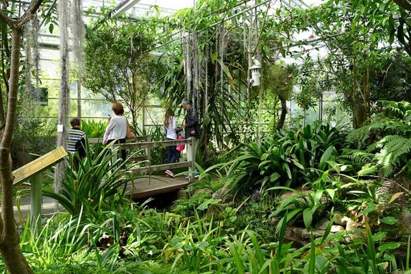 Jardin du Conservatoire botanique national de Brest