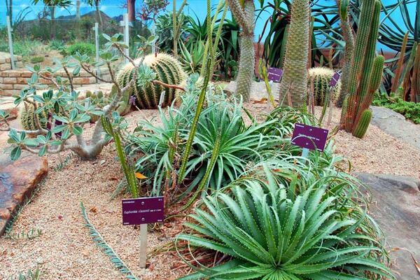 Jardin du Conservatoire botanique national de Brest
