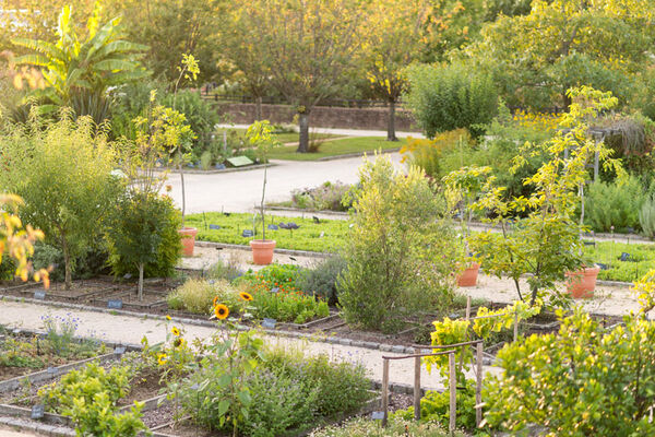 Jardin botanique Yves Rocher