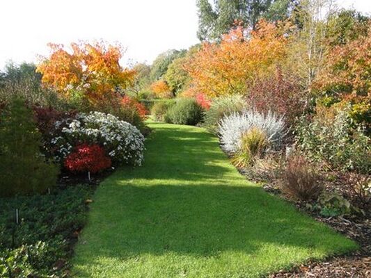 Jardins-de-la-peignie