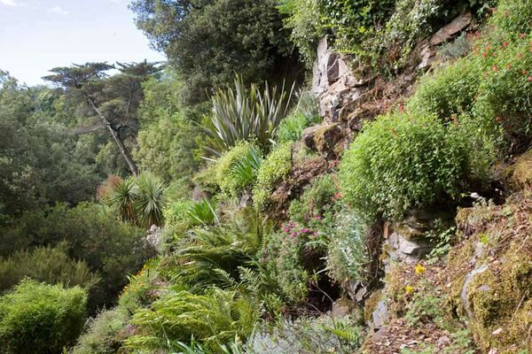 Jardins du Montmarin