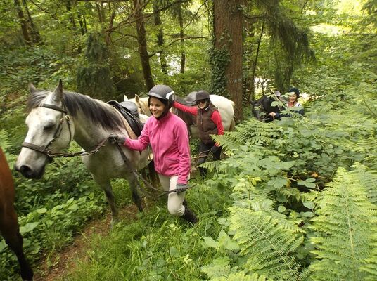 Lung Ta balade à cheval et cavaliers - Sérent