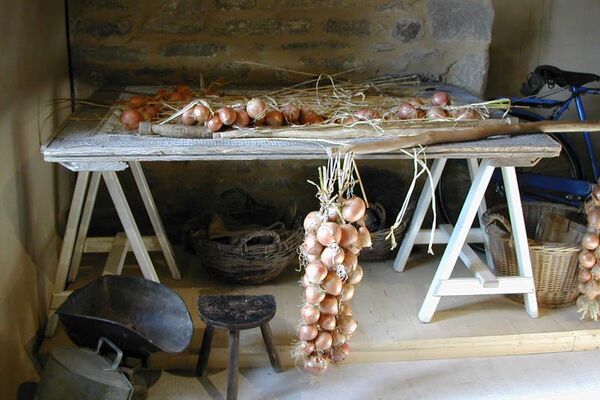 La Maison des Johnnies et de l’oignon rosé