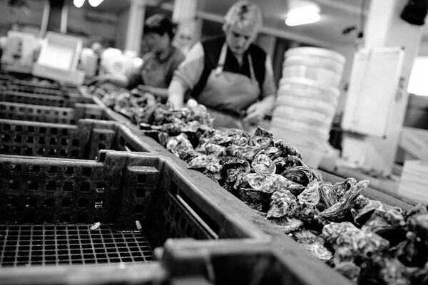 La Ferme Marine