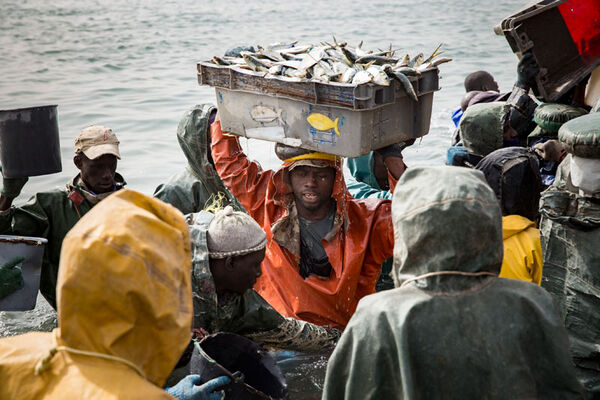 Pêcheurs du Monde