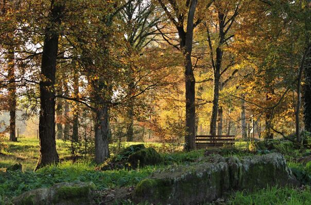 Lac de Trémelin Iffendic Brocéliande Bretagne accrobranche pédaleau ©office de tourisme Lac de Trémelin (4)