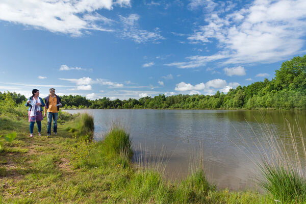 Visites autour de La Gacilly, Malestroit, et Guer