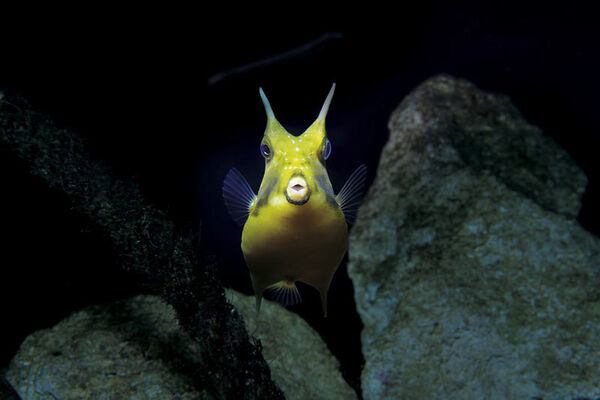 Le Grand Aquarium de Saint-Malo