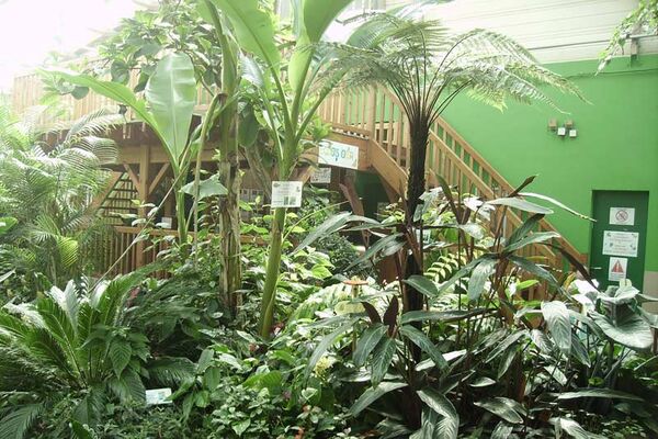 Le Jardin aux Papillons