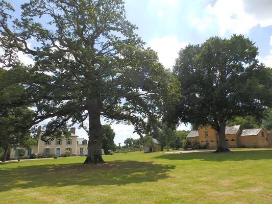 Le-Logis-du-Chateau-Pin-2