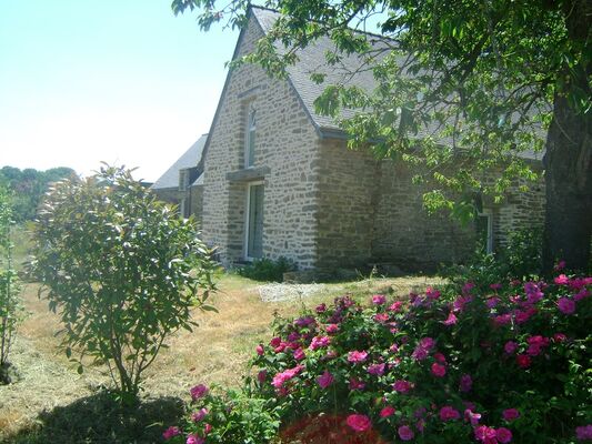 Le gîte du Foso et ses rosiers - Saint-Guyomard - Morbihan - Bretagne
