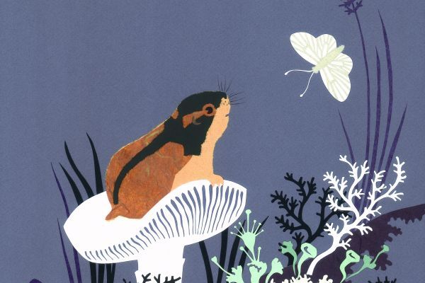 Lemming-EVincze-600x400