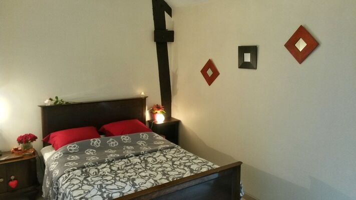 Logis du Ricotay Chambre Coquelicot