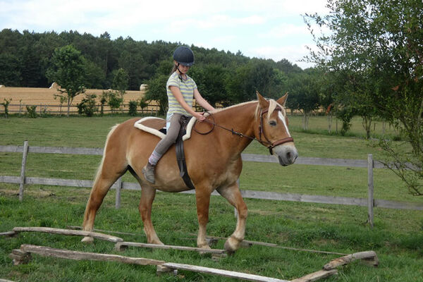 Les Chevaux du Vent - La Claie des Landes