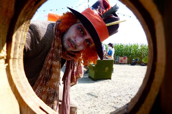 Le labyrinthe de Pont-Aven et sa ferme
