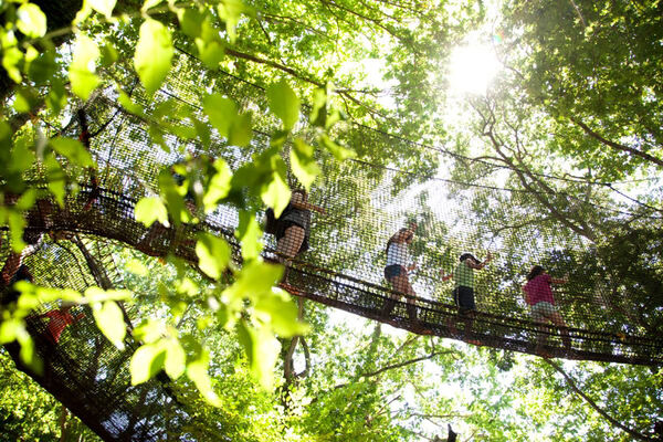 Les jardins de Brocéliande à Bréal-sous-Montfort