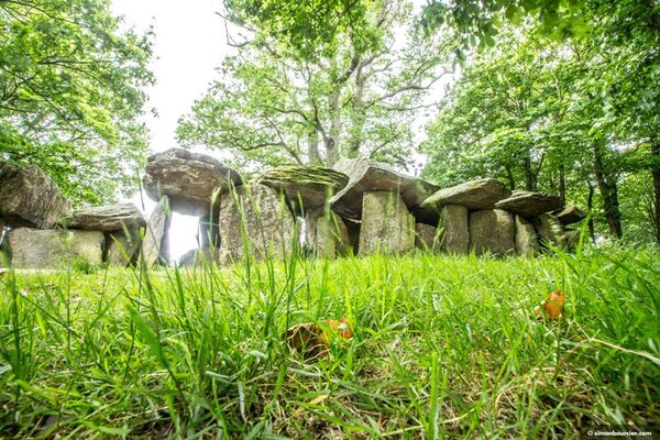 Site Mégalithique de la Roche aux Fées