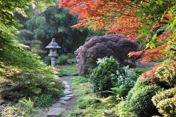 Parc Floral de Haute Bretagne