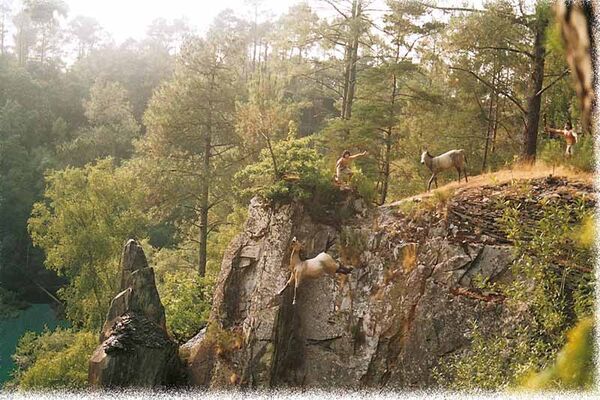 Parc de Préhistoire de Bretagne