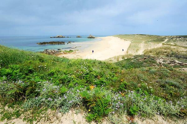 Plage Treac'h er goured