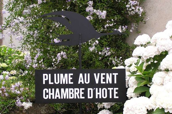 Plume au Vent